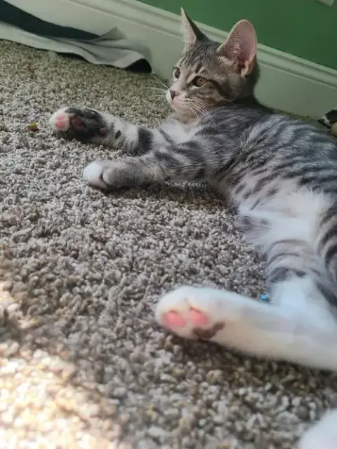 Titus photo 3