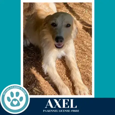 Axel 042526 photo 2