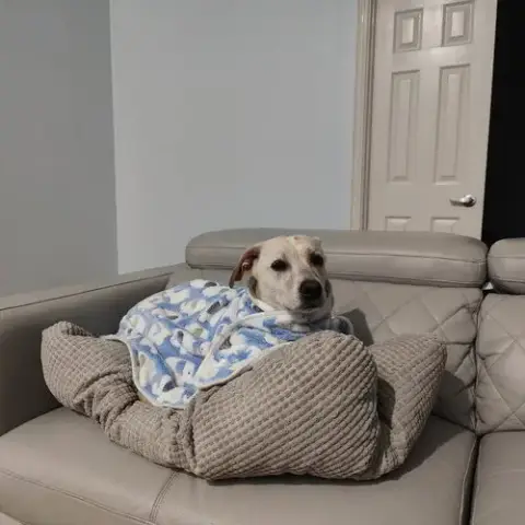 Riley photo 2