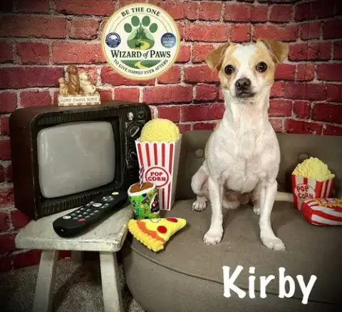 Kirby