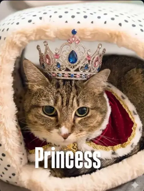 Princess