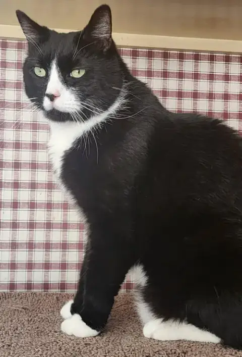 Sonny photo 2