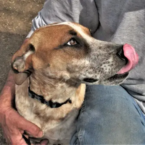 Pepper photo 5
