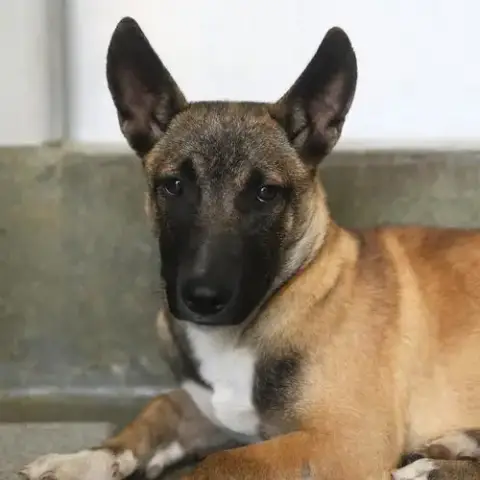 Benny