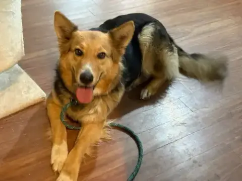 Heidi photo 2