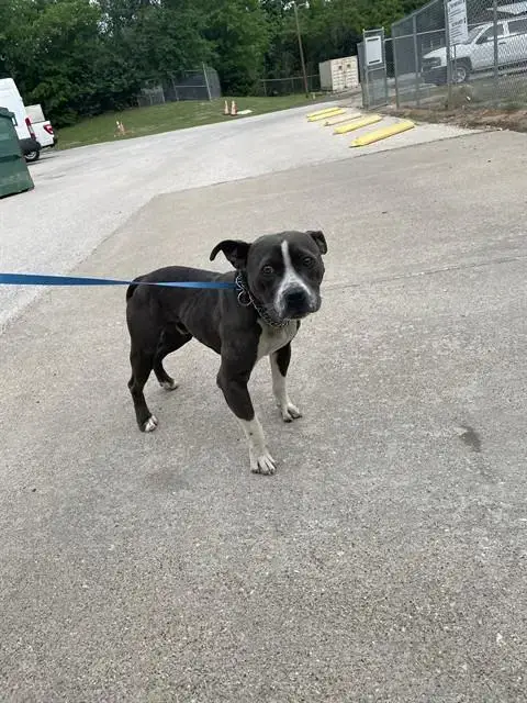 Cosmo