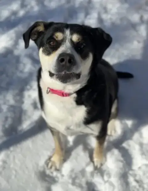 Phoebe photo 2