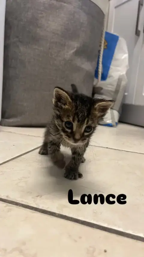 Lance photo 2