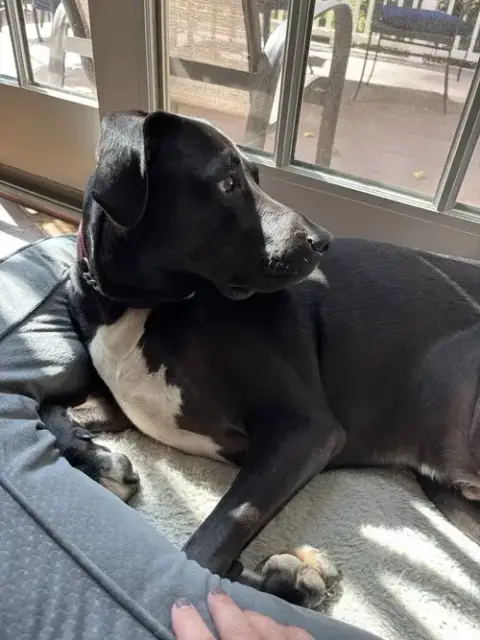 Eddie photo 4