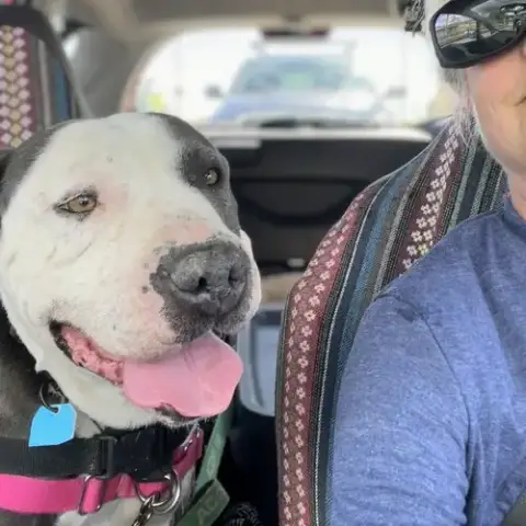 Gracie photo 4