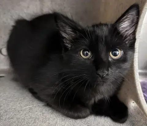 Winnie