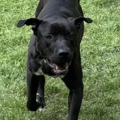 Lukas photo 3