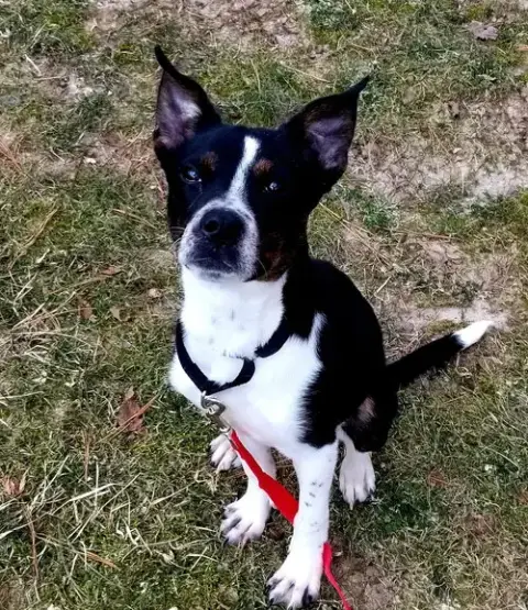 Maggie photo 4
