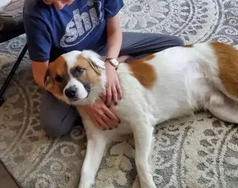 Buddy