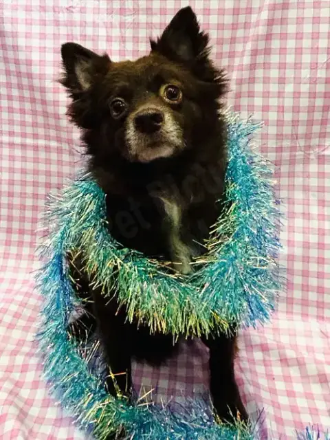Coco photo 2