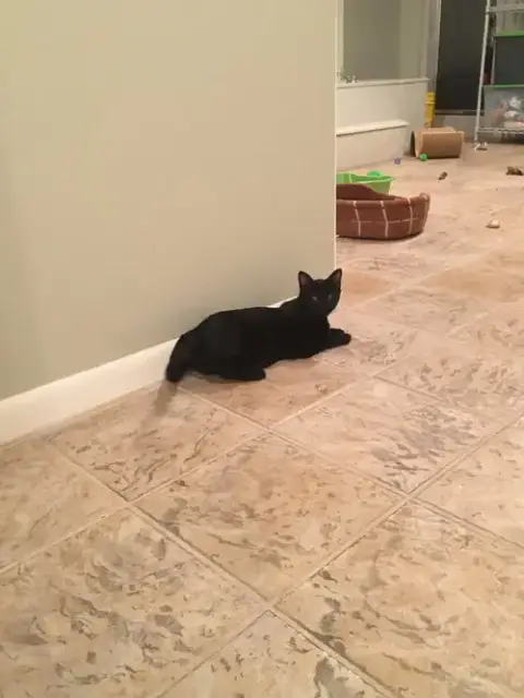 Dr. "Susie" Seuss photo 3