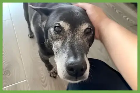 Ellie