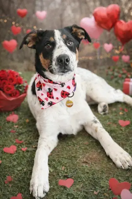 **Teagan** photo 2