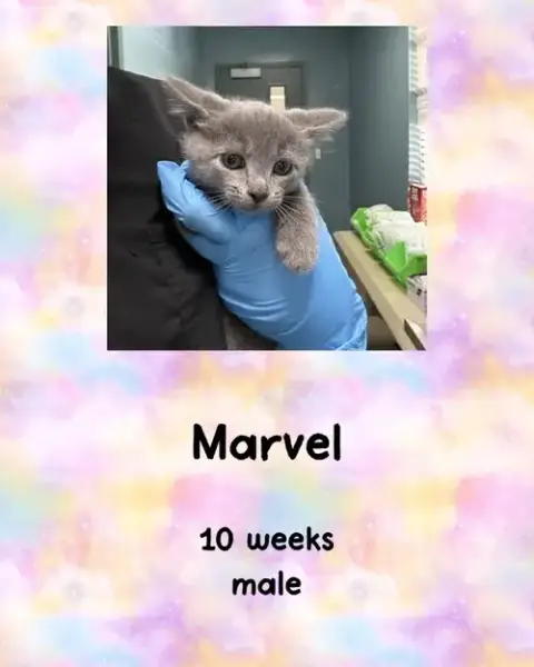 Marvel