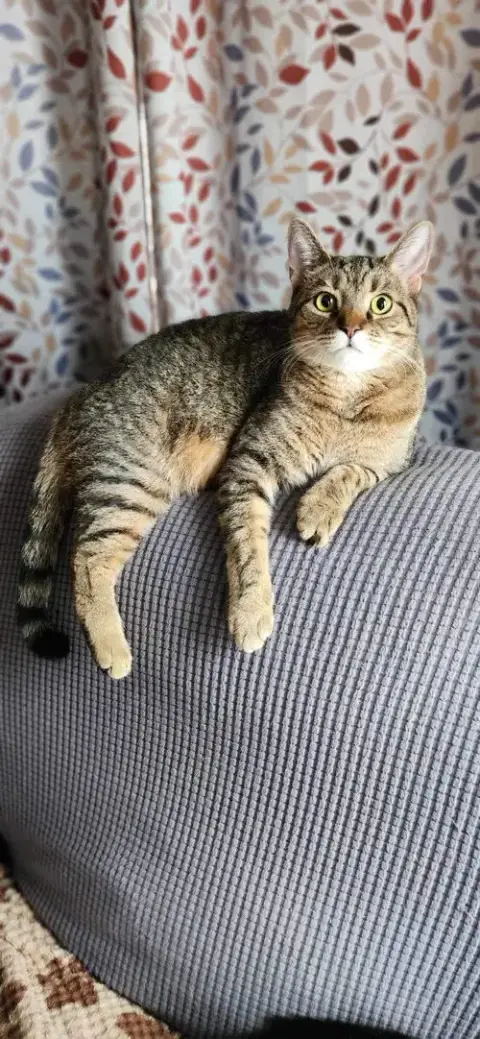 Lilly