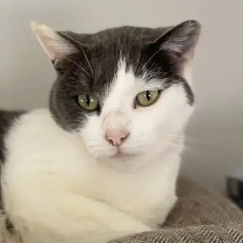 Matilda Dec 24
