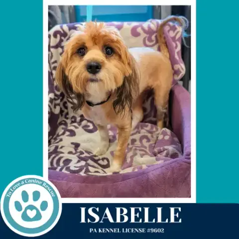 Isabelle photo 2