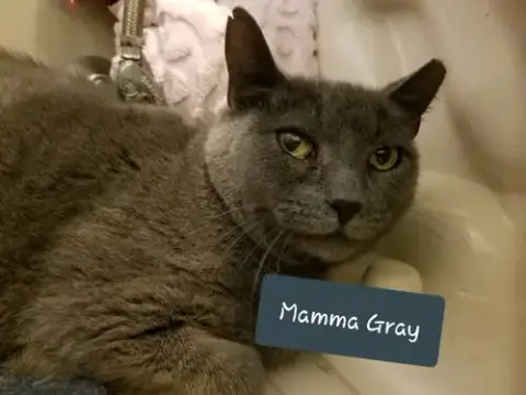 Mamma Gray