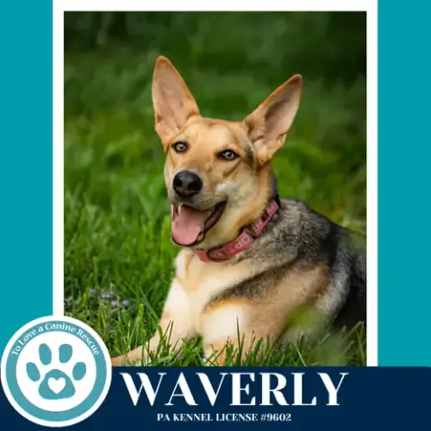 Waverly