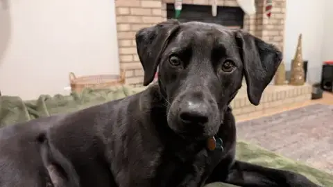 Bucky photo 3