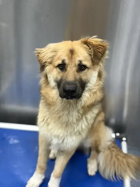 Kiska