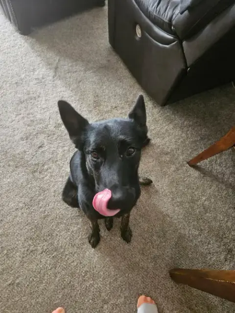 Zeus photo 2