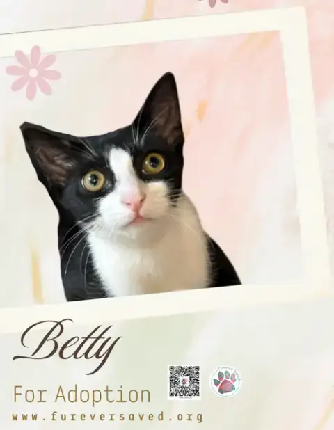 Betty photo 3