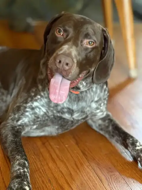 Zeb