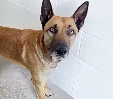 Marco