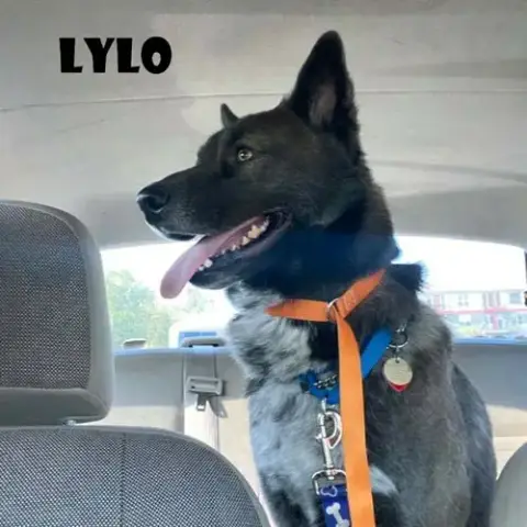 Lylo photo 2