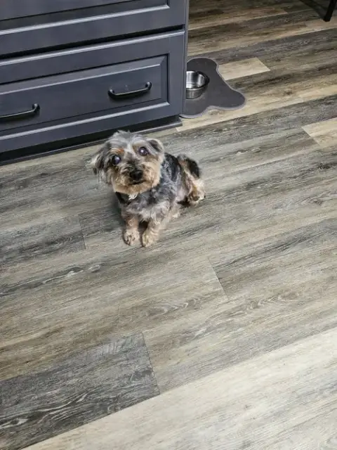 Ernie photo 4