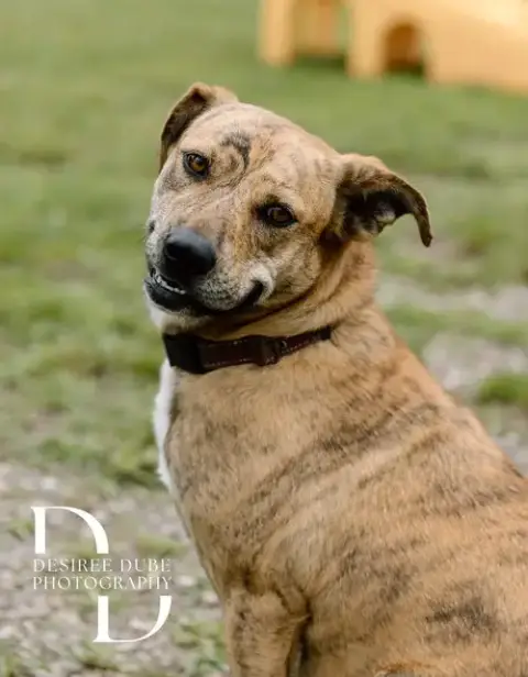 Winifred "Winnie" photo 2