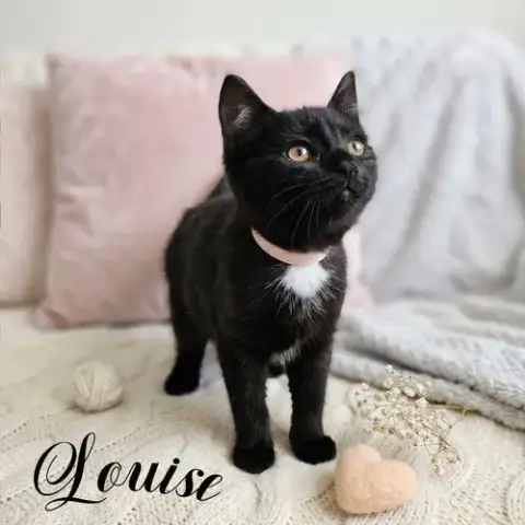 Louise photo 4