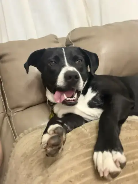 Wiggle photo 4