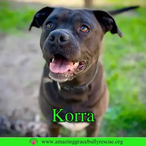 Korra