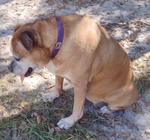 Delilah photo 3