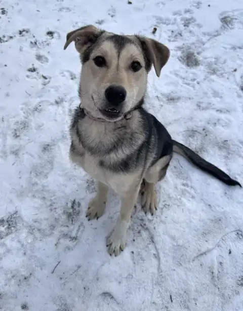 Nikolai photo 4