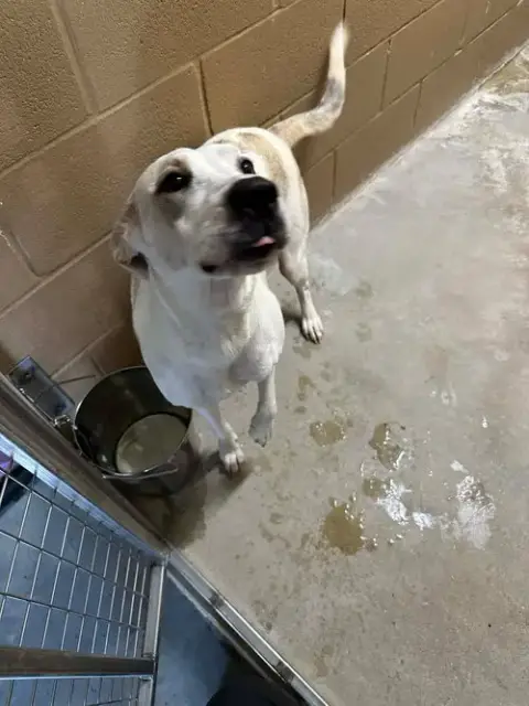 Elsa Louisiana photo 5