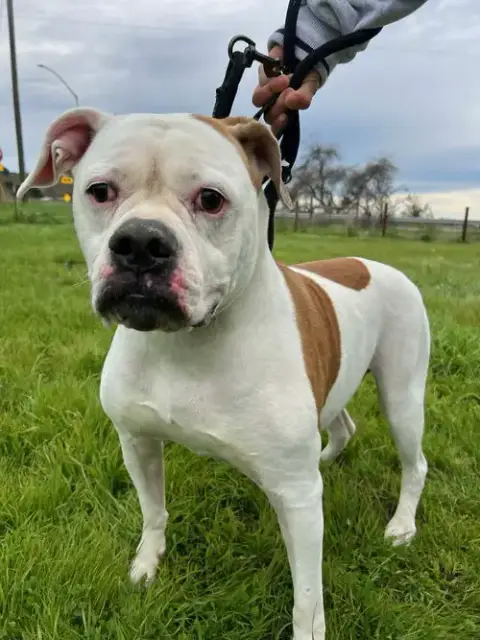 Bella photo 2