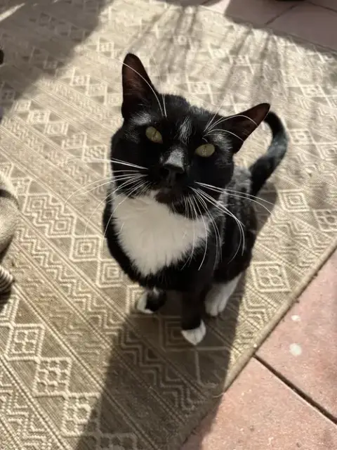 Tucksie photo 2