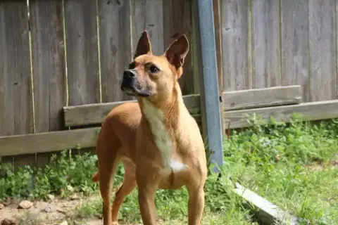 Nemo photo 3