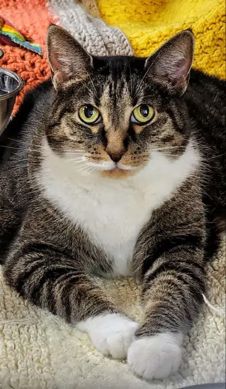 Molly photo 3