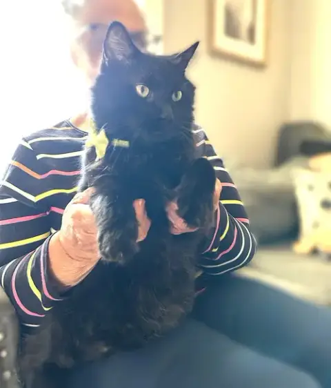Pedro Pawscal photo 2