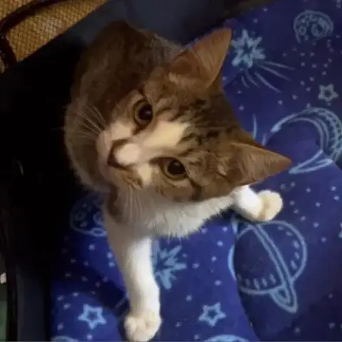 Lydia