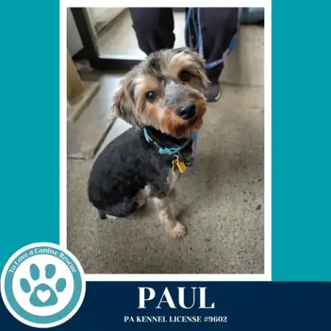 Paul 041126 photo 2